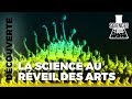 Etiennejules marey  la science au rveil des arts 2014