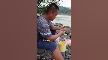 Câu cá bên dưới cửa xả lũ của đập thuỷ Điện Hoà Bình sẽ như thế nào #hoabinh  #shortvideo #khampha