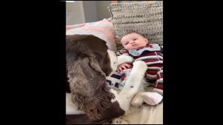 Little Baby Cole Getting Puppy Love