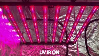 Redfarm BT 900W UV IR LED Grow Light