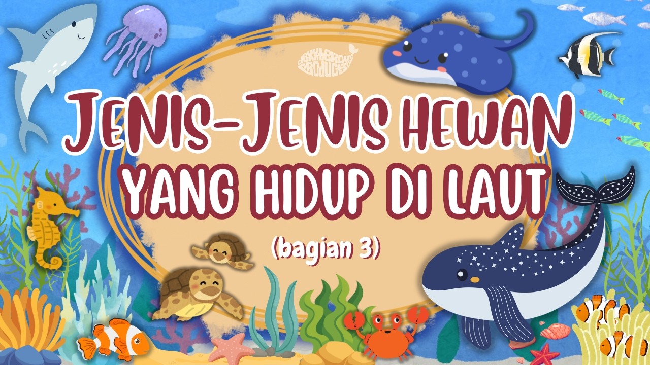 HEWAN YANG HIDUP DI LAUT Bagian 3 || Belajar mengenal jenis hewan yang hidup di laut