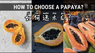 How to choose QUALITY PAPAYA! 教你如何选优质的木瓜!