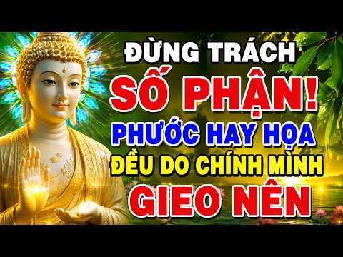 PHẬT DẠY: Đừng Trách Số Phận! Phước Hay Họa Đều Do Chính Mình Gieo Nên