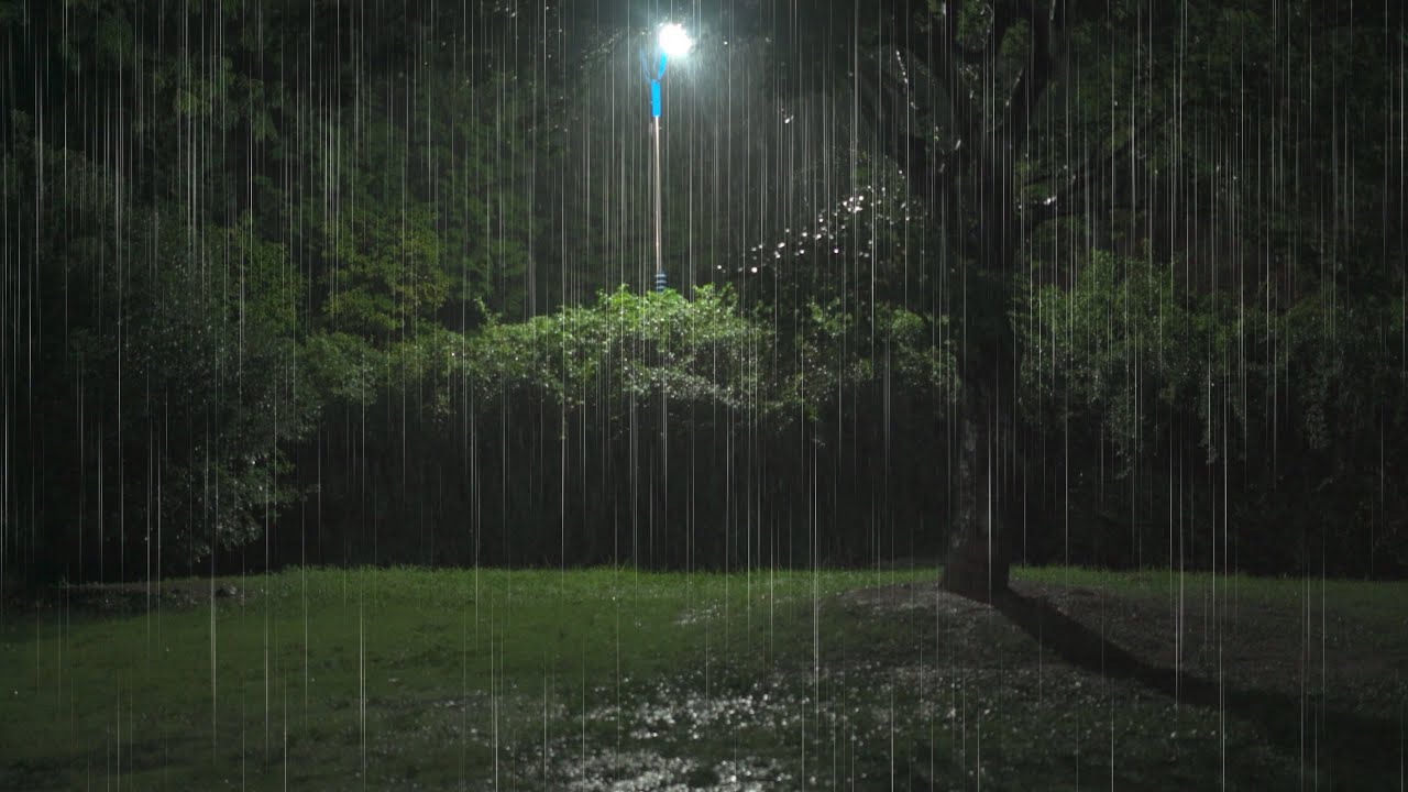 Уютный звук дождя│Лёгкий дождь│Расслабьтесь│Белый шум│Звуки дождя для сна