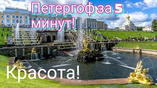 Петергоф за 5 МИНУТ | Все Фонтаны и Дворцы ! Санкт - Петербург 2022