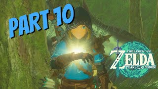 The Legend of Zelda: Tears of the Kingdom | Episode 10 - Gameplay Walkthrough! | No Commentary