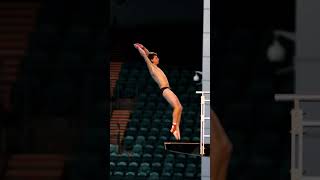 Sam Fricker Diving
