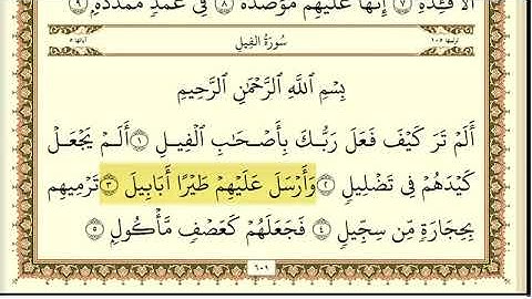 سورة الفيل مكررة (٣٠) مرة بصوت ماهر المعيقلي