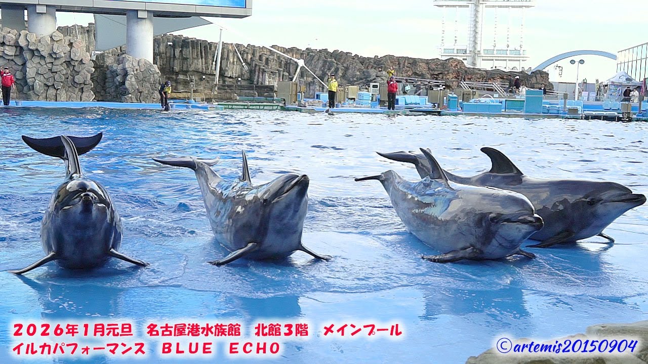2026年1月元旦 名古屋港水族館 北館3階 メインプール イルカ