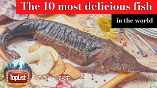 Top 10 Most Delicious Fish in the World 🐟
