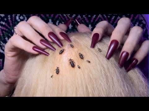 ASMR Lice Check 🐛🐜, Gentle Bugs Plucking 🥱, Personal attention (No Talking)
