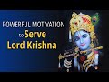 How serving lord krishna will help achieve the goal of your life  radha krishna bhakti