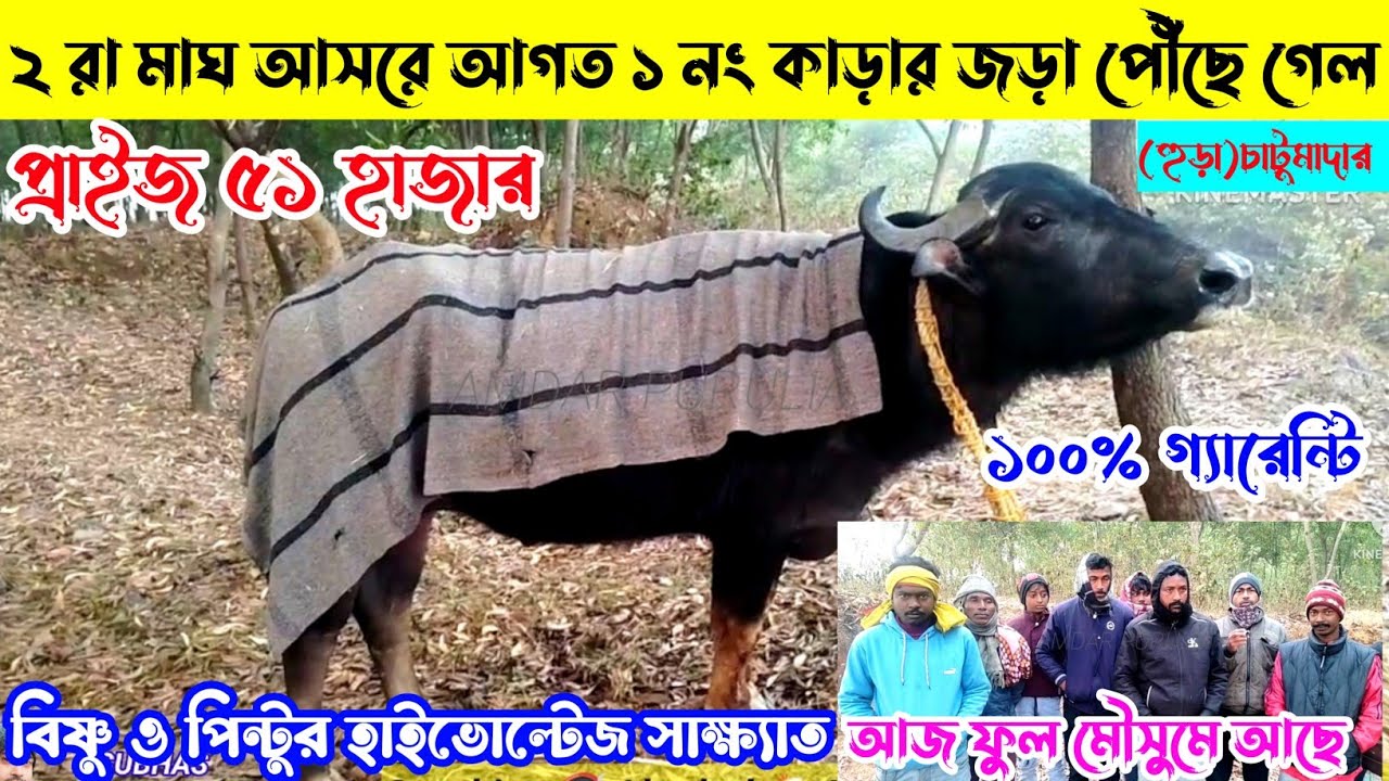 ২ রা মাঘ আসরে আগত ১ নং কা*ড়ার জড়া পৌঁছে গেল,প্রাইজ ৫১ হাজার,পিন্টু ও বিষ্ণুর হাইভোল্টেজ সাক্ষ্যাত👈