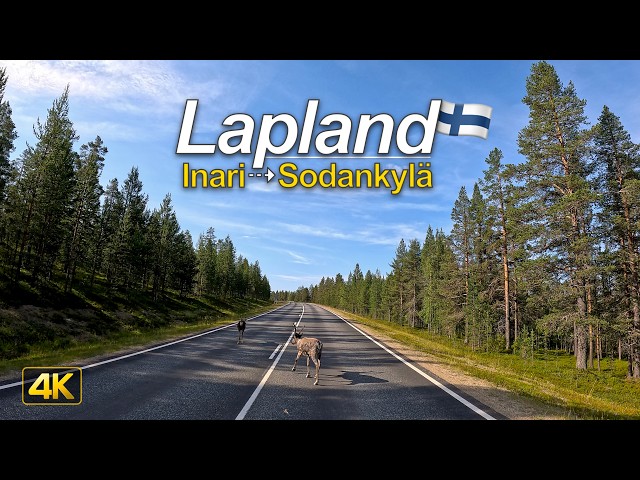 Arctic Finland Drive 🇫🇮 | Reindeer on the Road | Inari to Sodankylä, Lapland