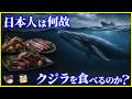 【ゆっくり解説】なぜ日本は今もクジラを食べるのか?日本が捕鯨を続ける理由を解説/日本人が忘れかけた食文化クジラ食・イルカ料理
