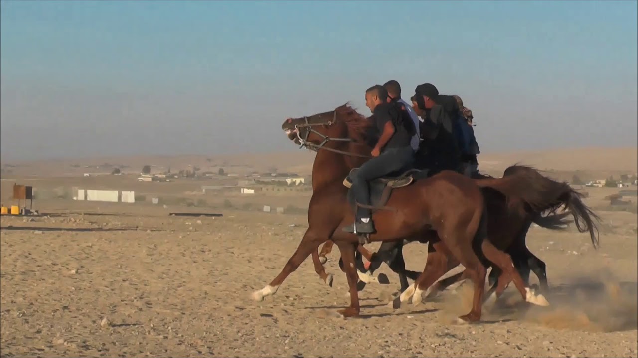 فرح ابو عامر 4