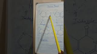 How To Remember The Structures Of Purine Bases? Master Learning Chemistry Upsc 2023 Cpcb 2023