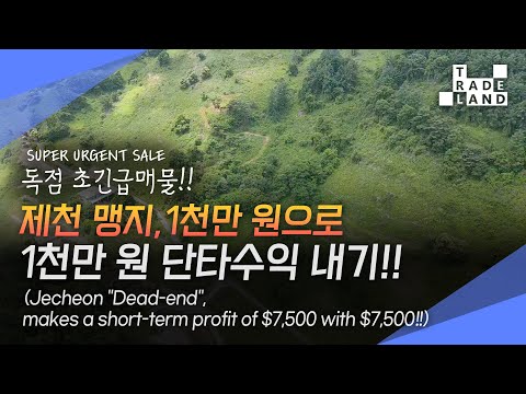 [No.0173] 제천, 1천만 원 땅으로 한 달 후 1천만 원 <strong>단타수익</strong> 내기! 독점 급매물(주말농장부지)- WECL│트레이드랜드
