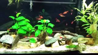 Final Demonstration of Little to No Surface Agitation