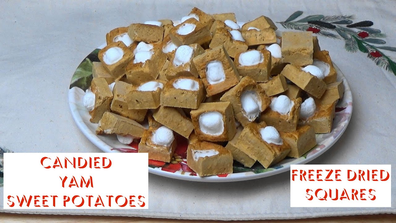Candied Yams Sweet Potatoes Freeze Dried Squares Ep206 YouTube