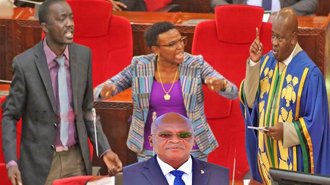 Noma: Halima Mdee asimamisha Bunge kwa dk 16 akishusha nondo Bandari Bagamoyo, Ishu za CAG na ATCL