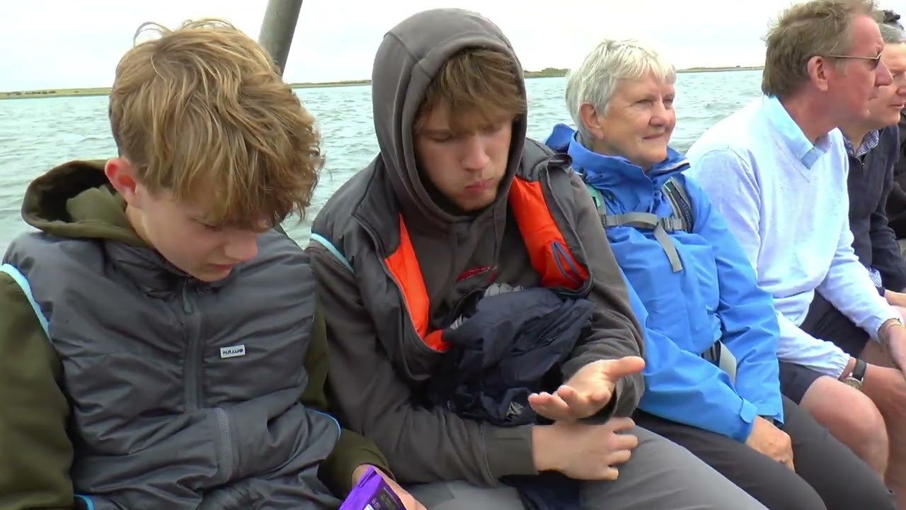 Seals at Blakeney Point