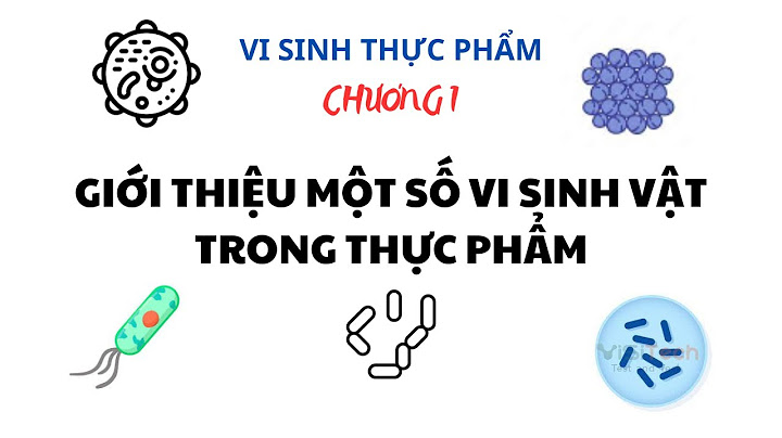 Vi sinh vật học thực phẩm tiếng anh là gì năm 2024