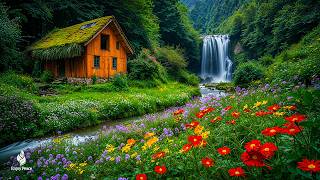 Beautiful Relaxing Music 2026 - Stop Overthinking, Stress Relief Music, Sleep Music, Calming Music