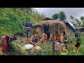 Peaceful Village Life in Nepal | Buffalo Curry Cooking & Daily Farm Routine