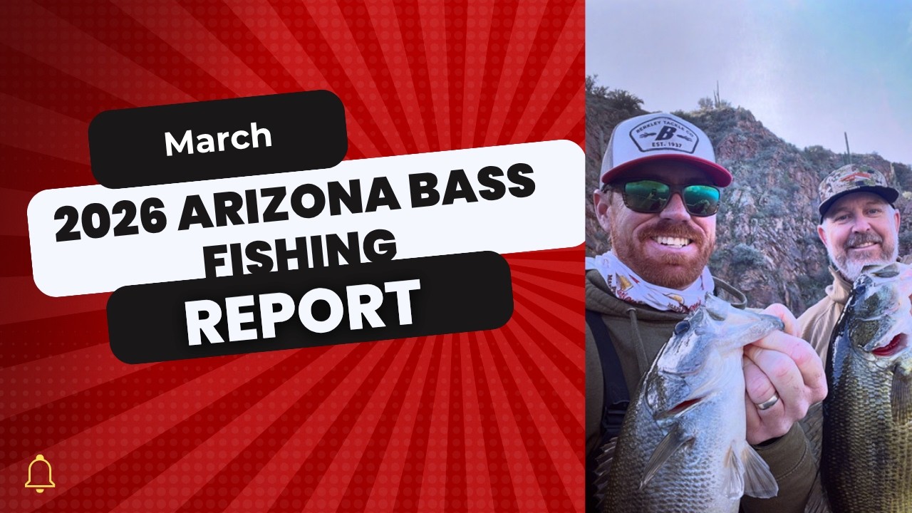 March 2026 Arizona Bass Fishing Report