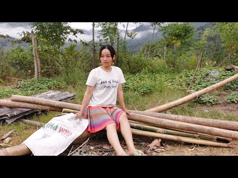 Video cô gái H'mông làm giàn leo khổ qua và hai chị em di... - youtube