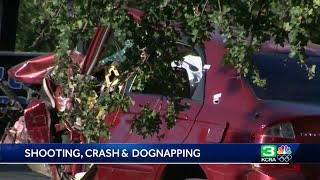 Man detained, dog recovered after Sacramento County crash, shooting