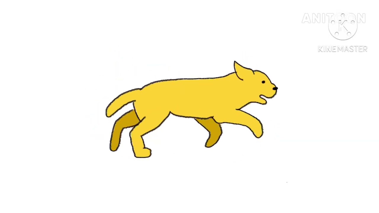 Yellow Dog
