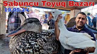 Sabunçu Toyuq Bazarı 19 may 2024 @mubarizemintv2271