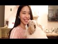 韓國女生的台灣生活 | 健身 | 台北最好吃的拉麵(?) thumbnail