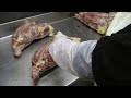 Animal Equality: Shocking Cruelty of Foie Gras Farms in France