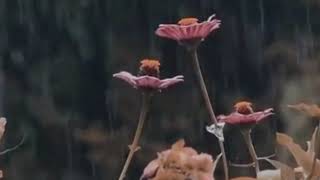 Download Lagu Alah - Alah kok bisa ya | SPONTAN (tanpa) UHUY! - Deabdil, #spontan #uhuy #terbaru  MP3