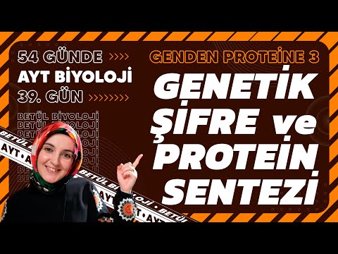 39) Genetik Şifre ve Protein Sentezi | Genden Proteine | 12. Sınıf | 2024 AYT Biyoloji Kampı 39. Gün