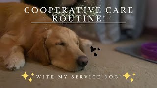 Cooperative care routine with my service dog! | Working on being comfortable with nail trims & more✨ by helperpupatlas 431 views 1 year ago 16 minutes