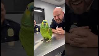 Parrot &amp; Cops - Where were you last night 10 PM? #parrot #police #shorts #cops