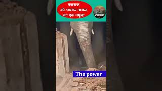 Power of a giant elephant / गजराज की असीम ताकत का नमूना