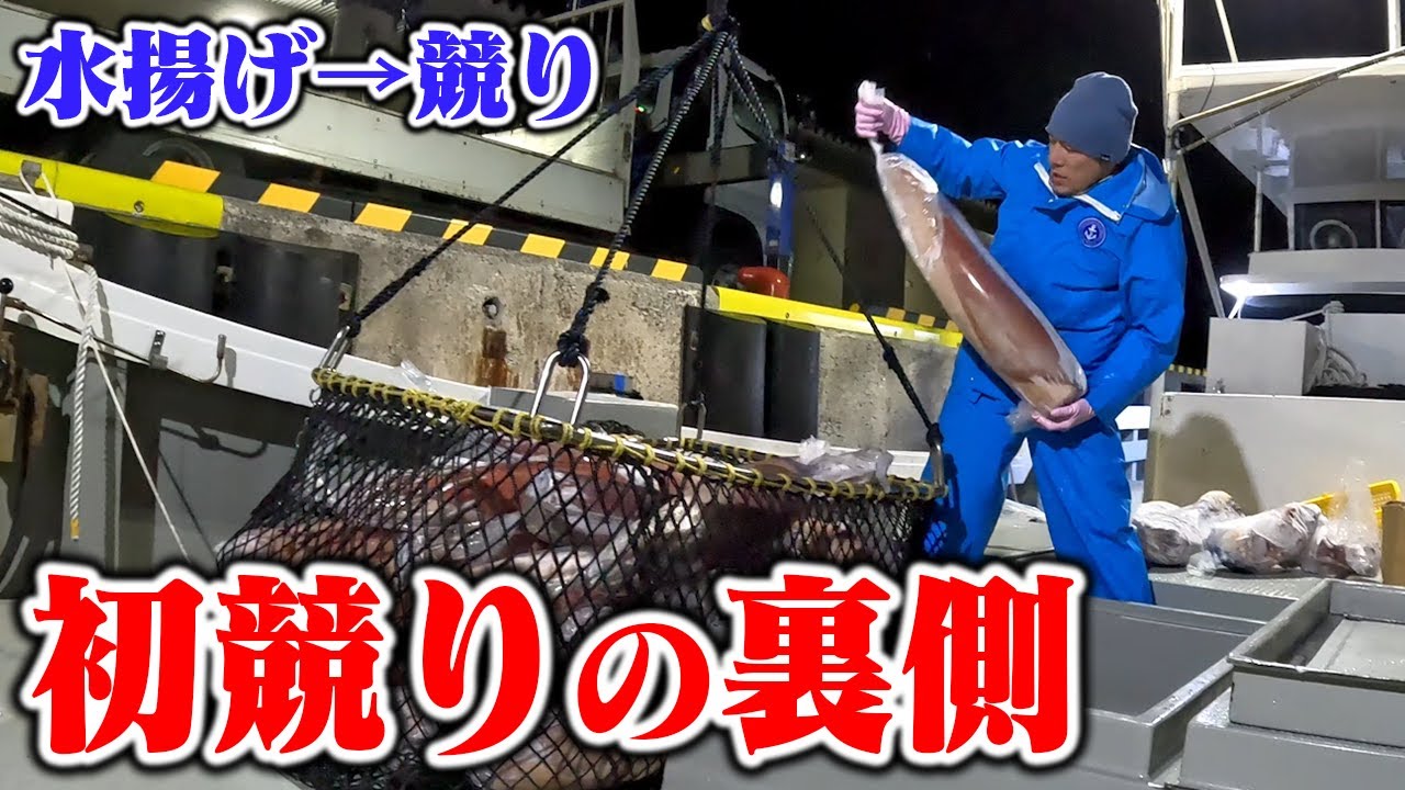 初競りの裏側を大公開！