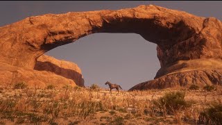 Travelling to Mexico...And beyond in rdr2 online