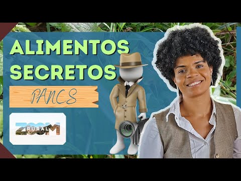Descubra os Segredos das Plantas Comestíveis mais Incríveis do Brasil!