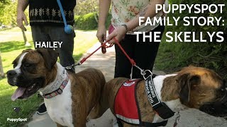 PuppySpot Family Story: The Skellys