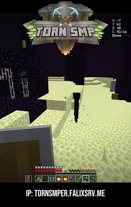 Do you want to Join Torn SMP?