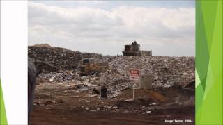 EDC171 A3: Reducing food waste to save the world