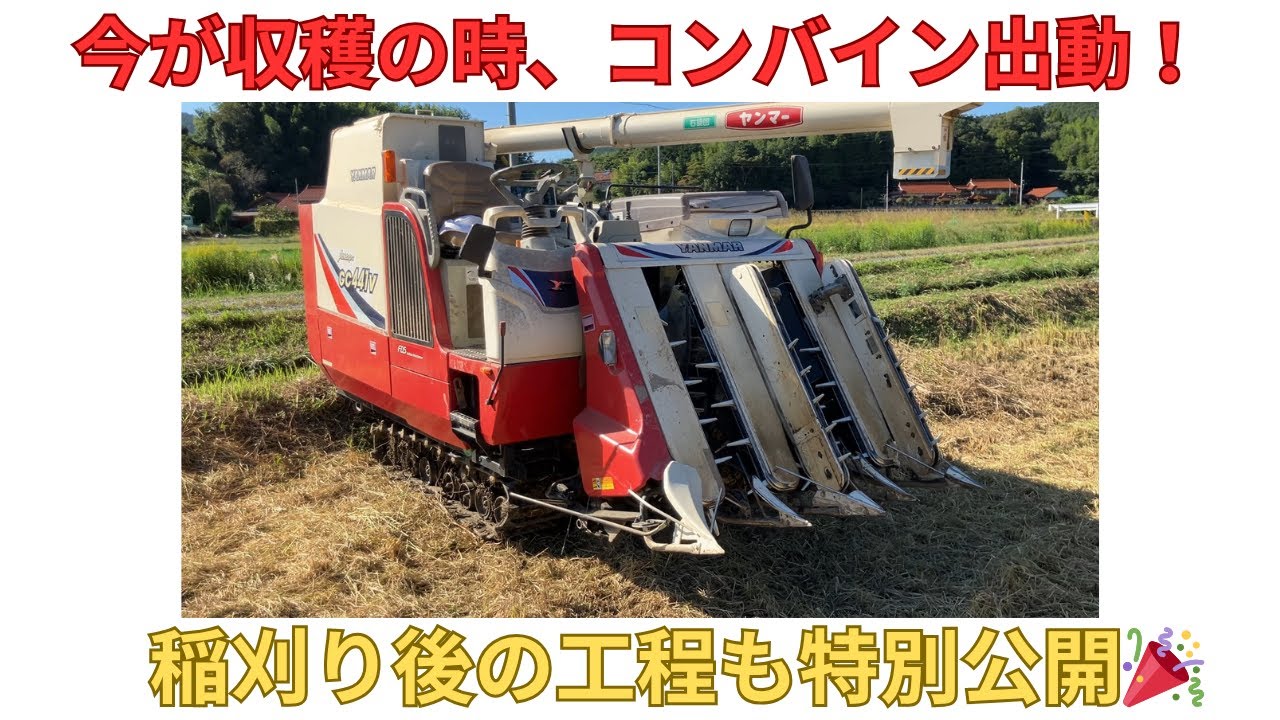 収穫の時、コンバイン出動！】コンバインでの稲刈りだけでなく、その後 