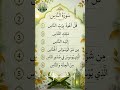 Surah An-Naas Beautiful Recitation 🎧 #IslamicShorts