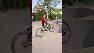 Kreativer Skatepark in Torgau – Sachsen – Deutschland
